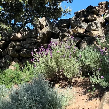 Gasthof Macagna Corbara